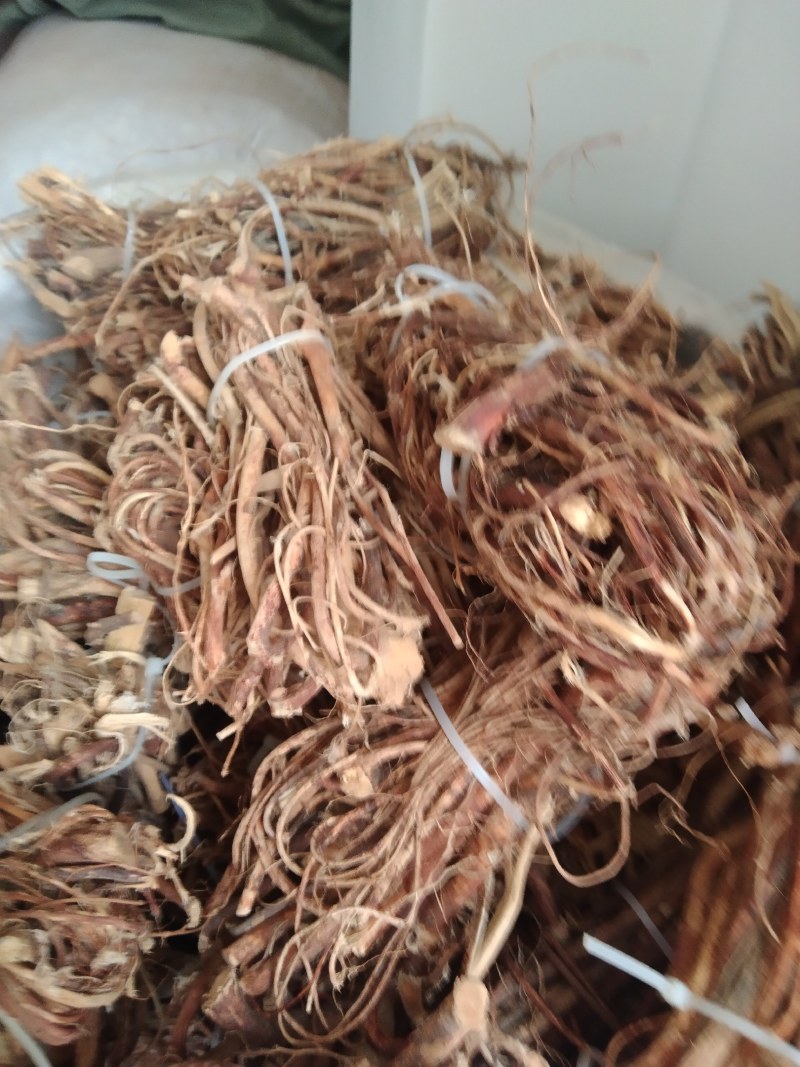 （推荐·）五指毛桃产地一手货源可以任意挑选，支持视频看货