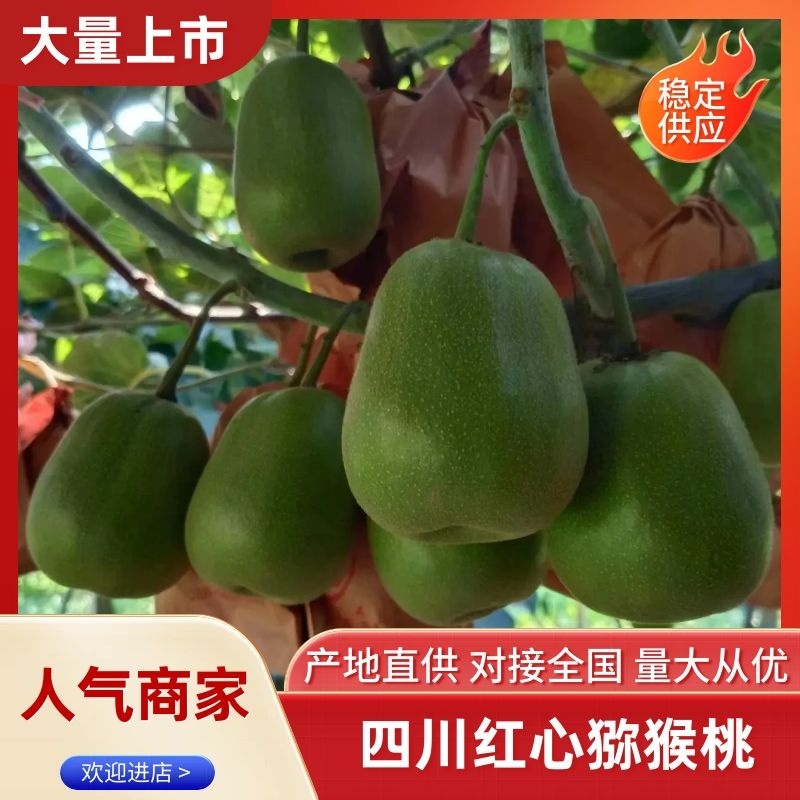 红心猕猴桃四川精品猕猴桃大量供应中欢迎咨询