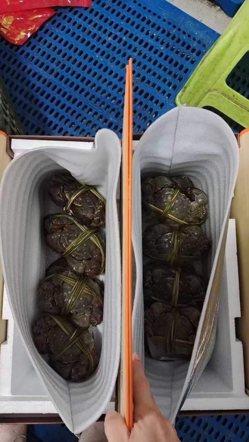 精品大闸蟹一手货源产地直发大量供应，有礼盒装