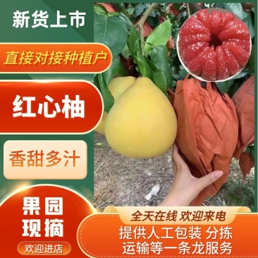 海南云南西双版三红柚.红柚.一件代发。产地直发一手货源。