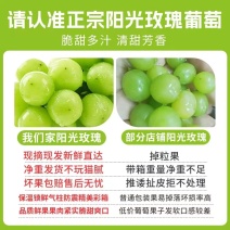 桂林阳光玫瑰产地直发老板热情价格美丽欢迎致电