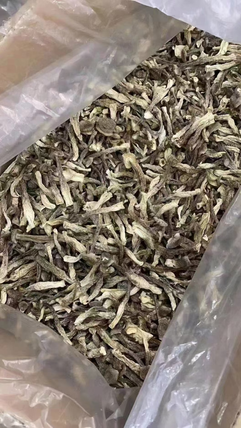 鹿茸菇，菌菇，大量有货，一手货源，大量上市，欢迎来电