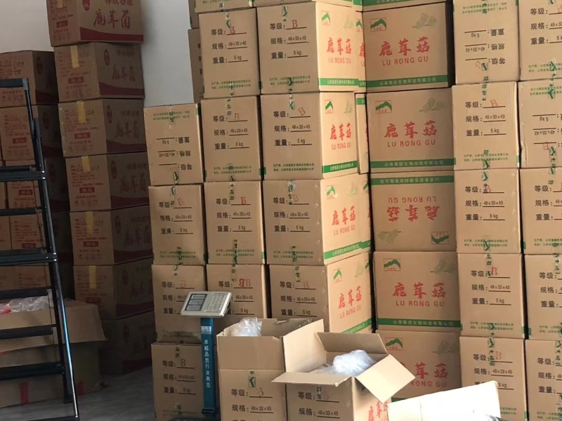 鹿茸菇，菌菇，大量有货，一手货源，大量上市，欢迎来电