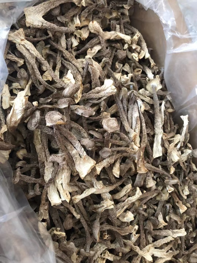 鹿茸菇，菌菇，大量有货，一手货源，大量上市，欢迎来电