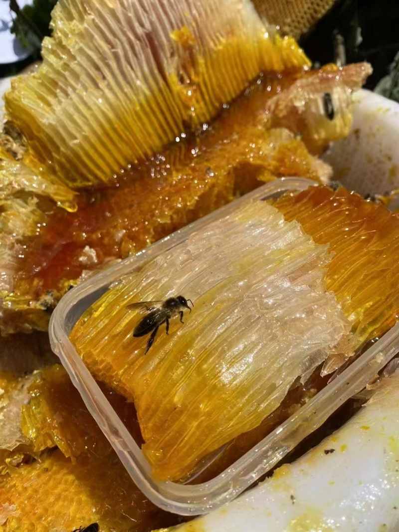 云南百花蜜大量有货一手货源价格优惠欢迎致电