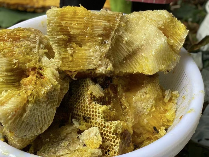 云南百花蜜大量有货一手货源价格优惠欢迎致电