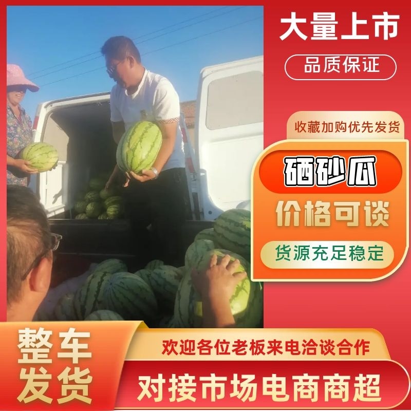 【推荐】山西西瓜双红金花沙漠硒砂瓜