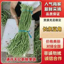 回头客多豆角长条青条视频接单接受预定量大从优