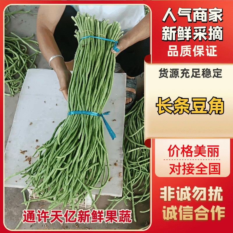 回头客多豆角长条青条视频接单接受预定量大从优