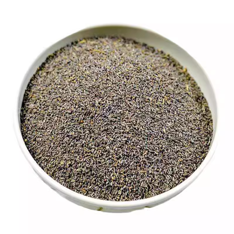 沙蒿种子水土保持防沙固沙固土护坡荒漠植被恢复牧草籽野生草