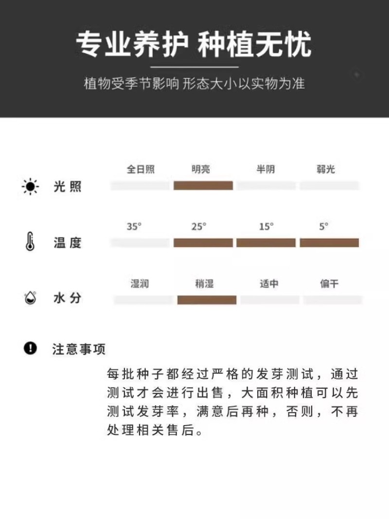 沙蒿种子水土保持防沙固沙固土护坡荒漠植被恢复牧草籽野生草