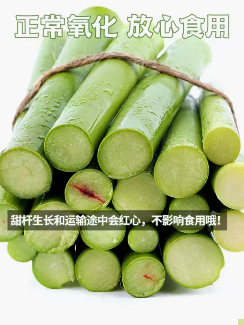 东北/绿皮甜杆/量大价优产地直供可视频看货欢迎致电