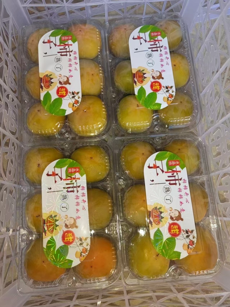 七月黄柿子基地供应一手货源量大质优价优支持视频看货