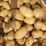 沃土土豆沃土五号内蒙古土豆量大价优规格齐全稳定供货