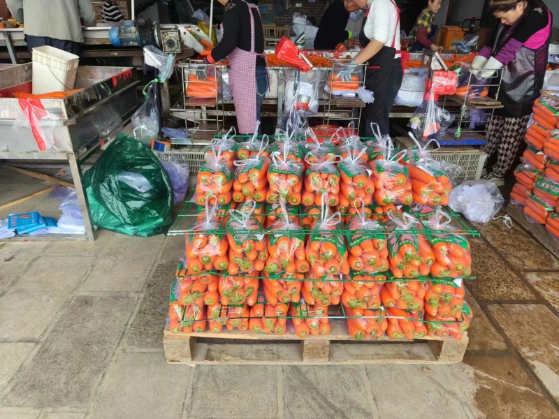 开封三红胡萝卜水洗中条，B品，小条，大头各种规格