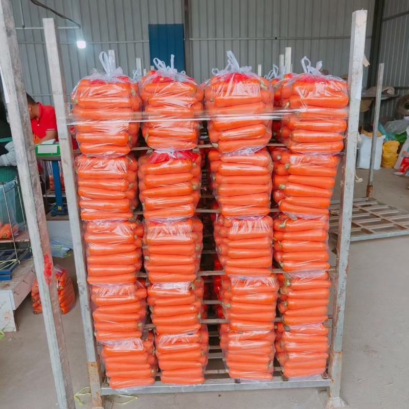 开封三红胡萝卜水洗中条，B品，小条，大头各种规格
