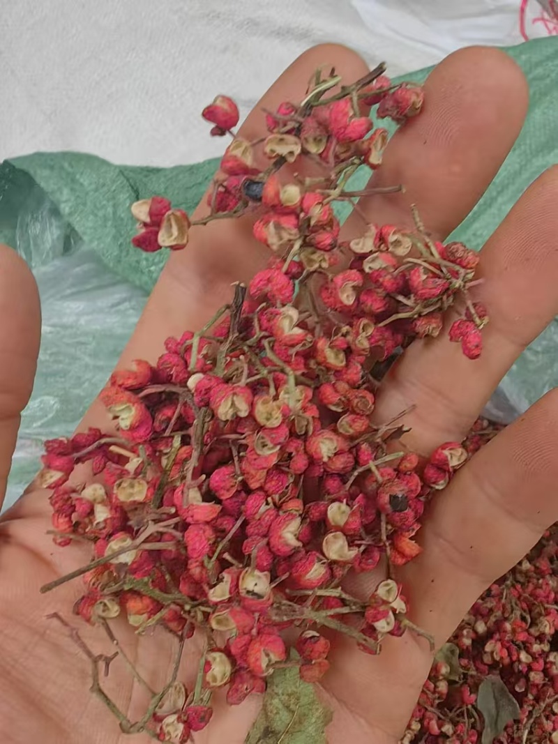 陕西精品大红袍花椒产地一手货源厂家直发常年供应量大价优