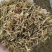 素馨花中药材别名:素英耶悉茗花野悉蜜基地供货量大价优