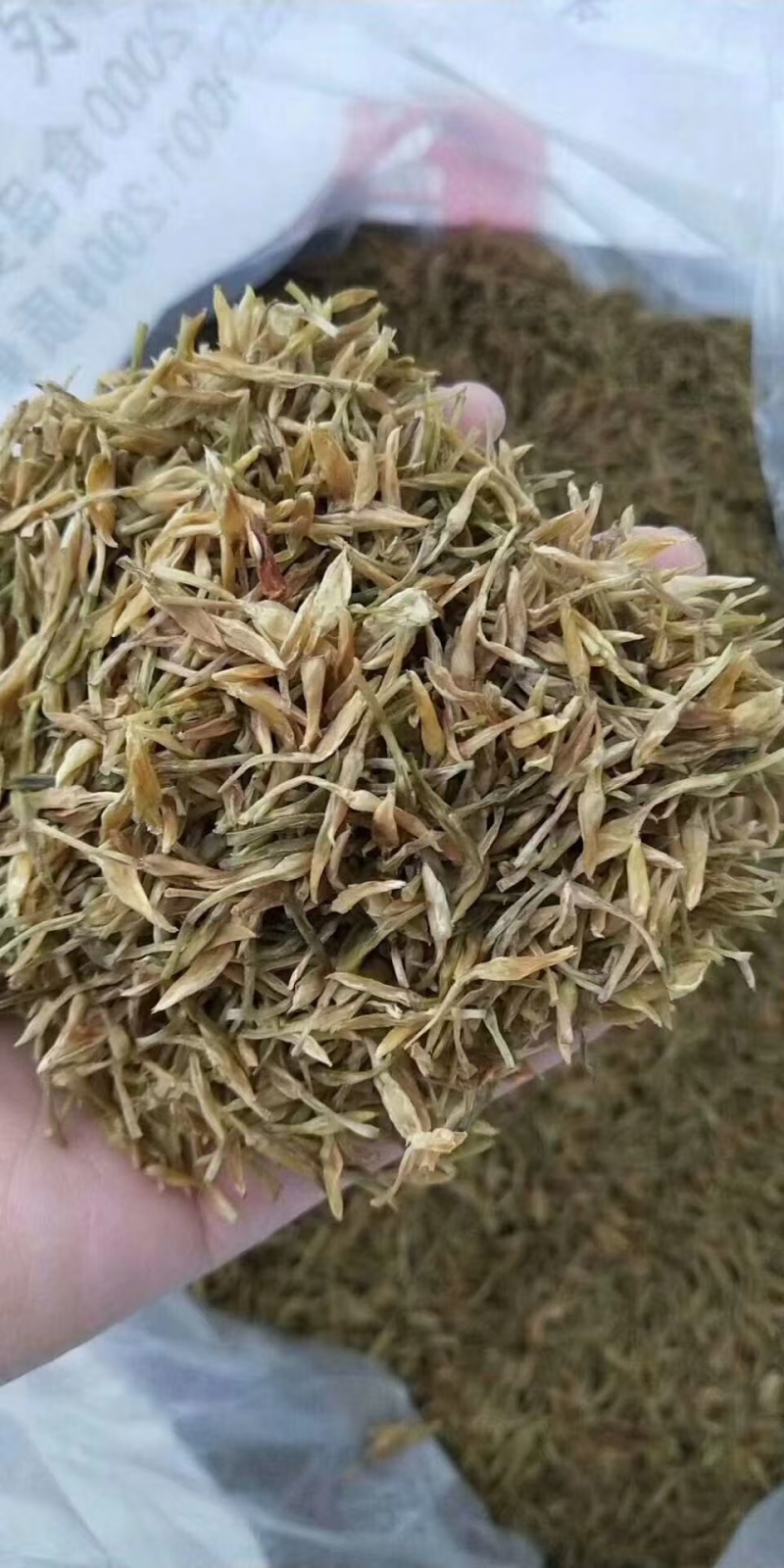素馨花中药材别名:素英耶悉茗花野悉蜜基地供货量大价优