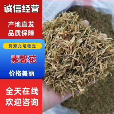 素馨花中药材别名:素英耶悉茗花野悉蜜基地供货量大价优