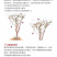 澳洲甜王葡萄苗黑色脆地球新品种无核易管理嫁接葡萄树苗