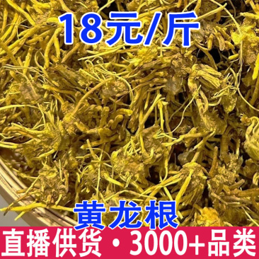 雪灵茶金龙根黄龙根一件代发量大从优