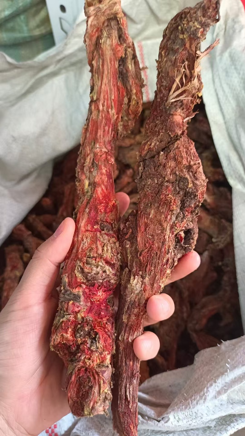 红景天红景天批发量大从优