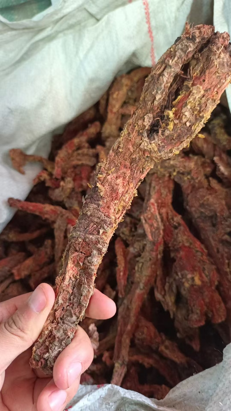 红景天红景天批发量大从优