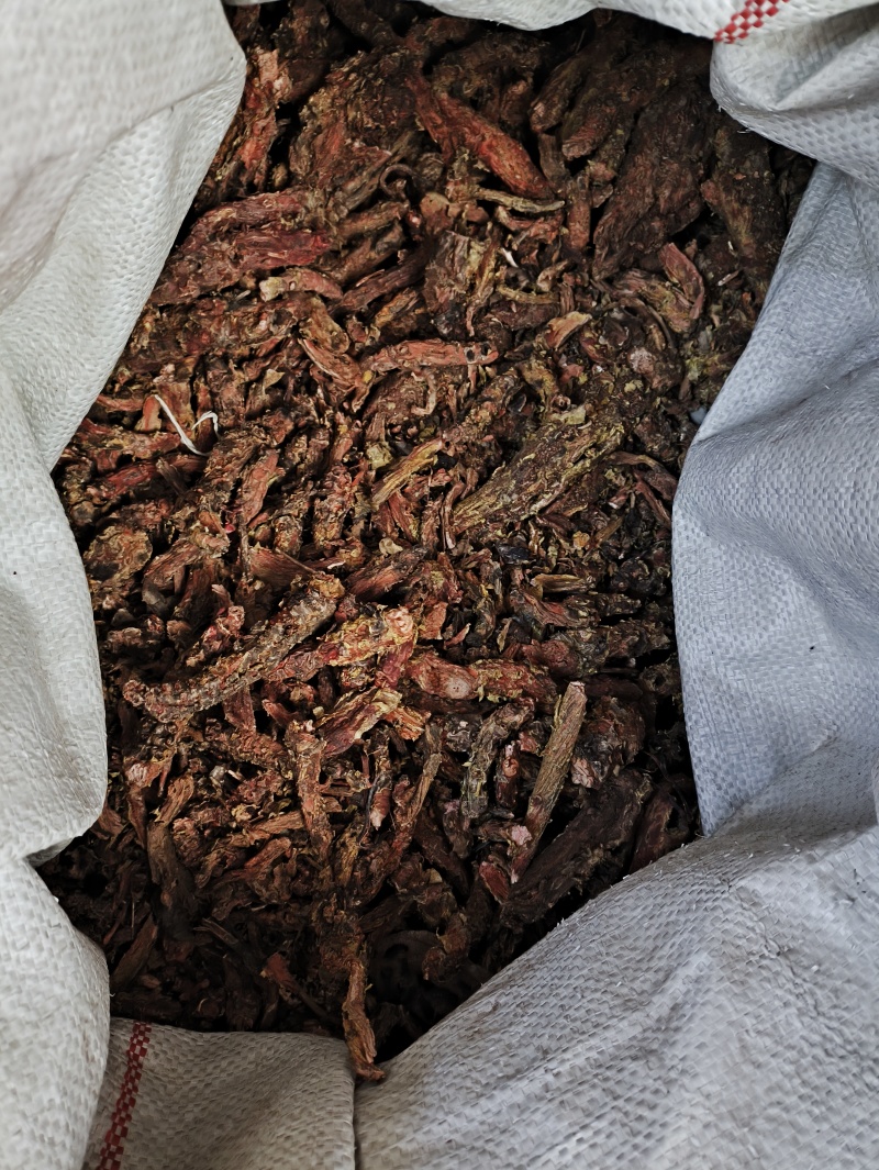 红景天红景天批发量大从优