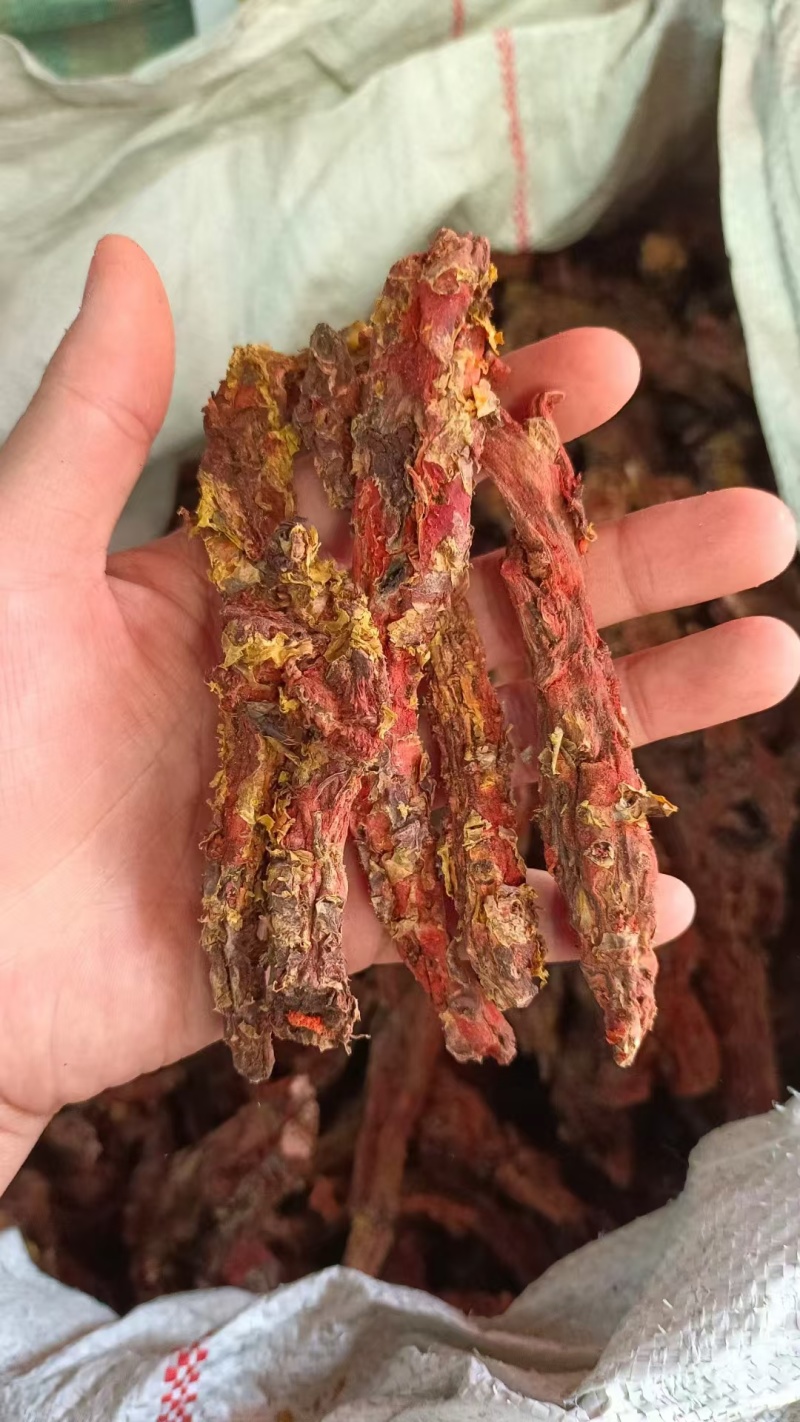 红景天红景天批发量大从优