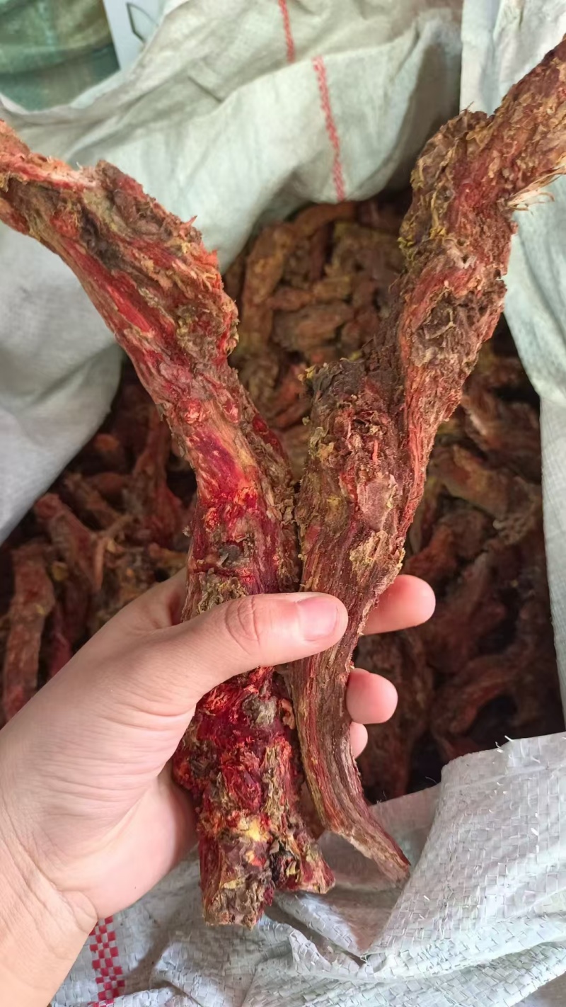 红景天红景天批发量大从优
