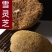 雪灵芝西藏雪灵芝一件代发量大从优