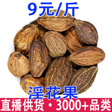 淫花果诃子阳鞭果一件代发量大从优