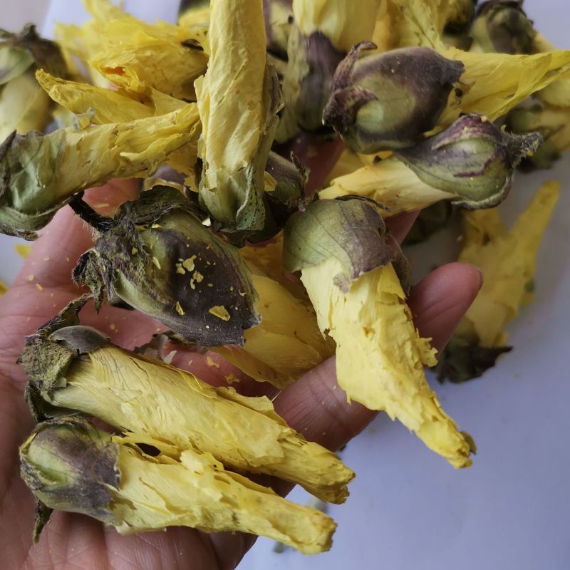 黄秋葵黄秋葵花黄蜀葵花秋葵花金花葵茶一件代发
