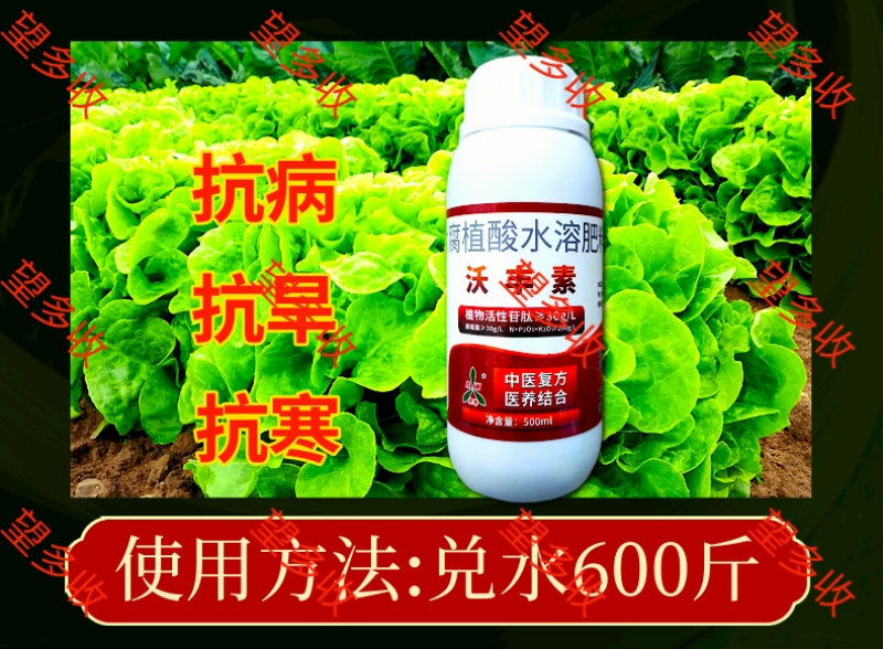 沃丰素医养结合中草药配方全营养提高叶绿素抗寒抗旱促长增肥
