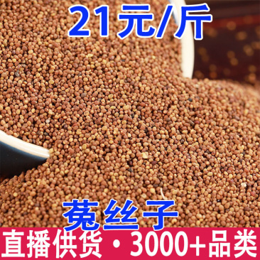 菟丝子吐丝子一件代发量大从优