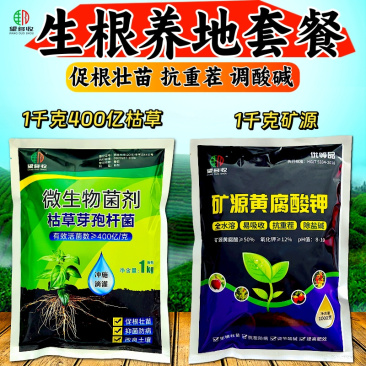 枯草芽孢杆菌+矿源黄腐酸钾改良土壤生根养地抗茬防病