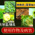 禾易功夫王10%高效氯氟氰菊酯菜青虫地老虎蚜虫地上地下虫