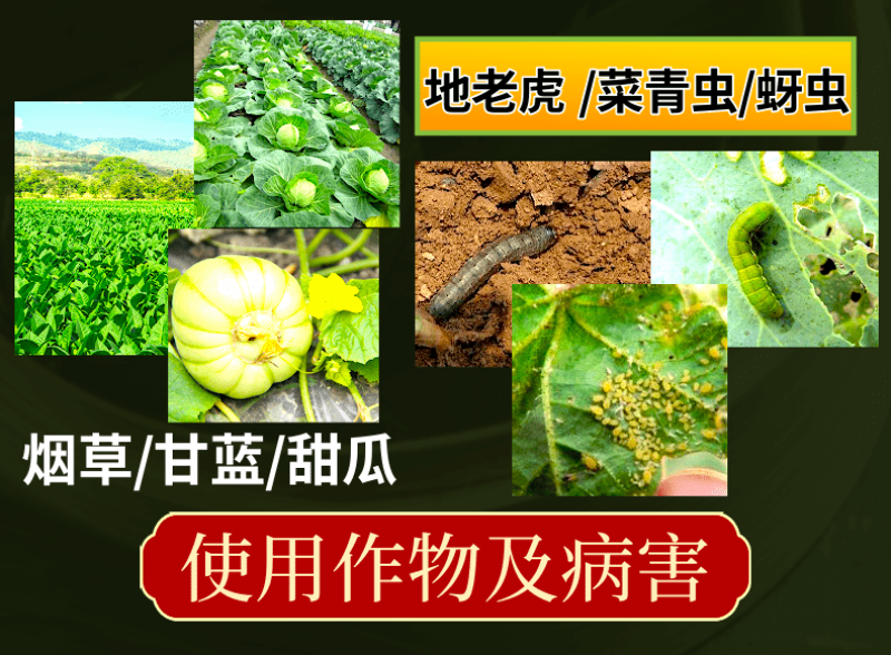 禾易功夫王10%高效氯氟氰菊酯菜青虫地老虎蚜虫地上地下虫
