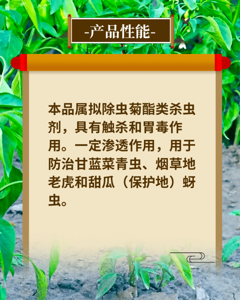 禾易功夫王10%高效氯氟氰菊酯菜青虫地老虎蚜虫地上地下虫
