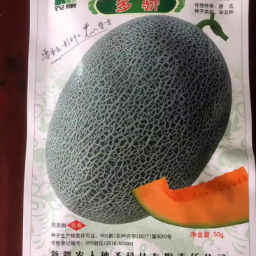 多骄哈密瓜种子中熟甜瓜1600粒原装果肉橙黄