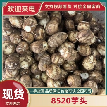 〔8520芋头〕毛芋头大球中球通货基地直发一条龙服务