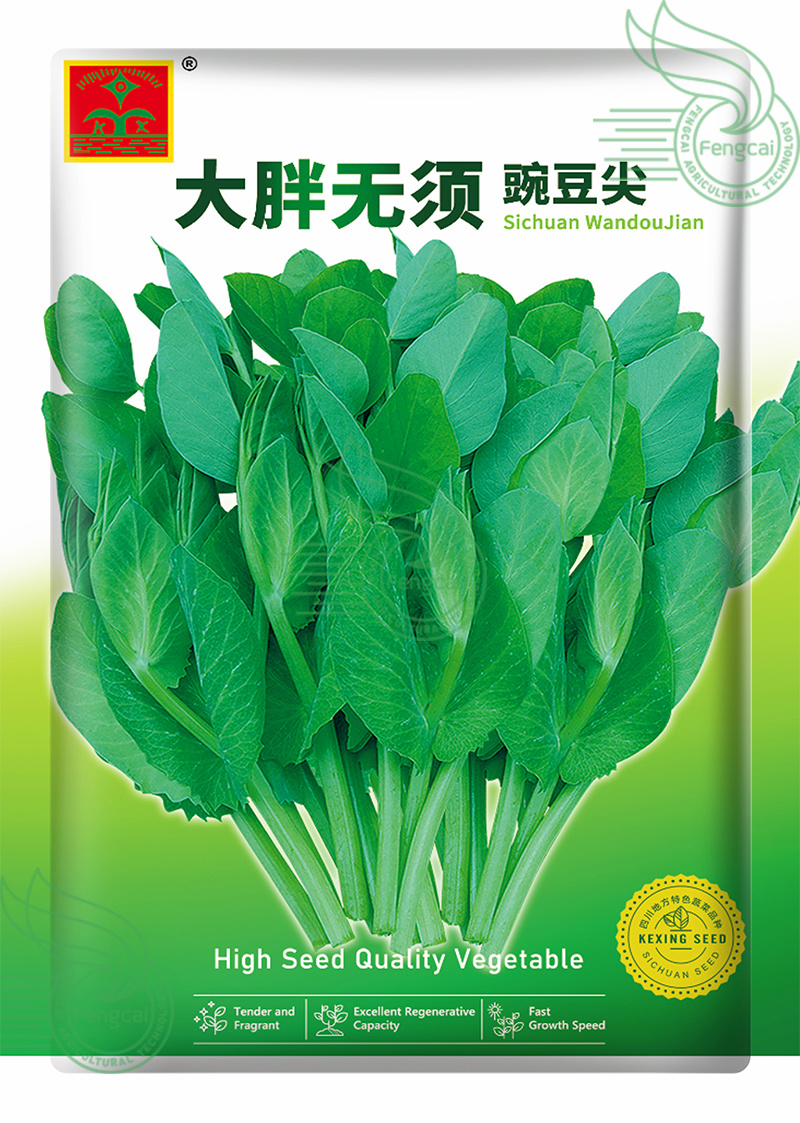 大无须豌豆种子专吃豌豆尖的品种四川种源叶大肉厚