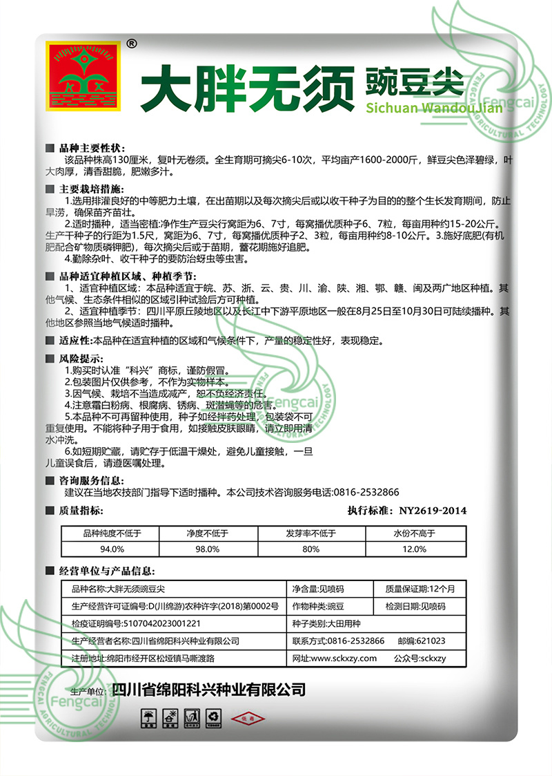大无须豌豆种子专吃豌豆尖的品种四川种源叶大肉厚