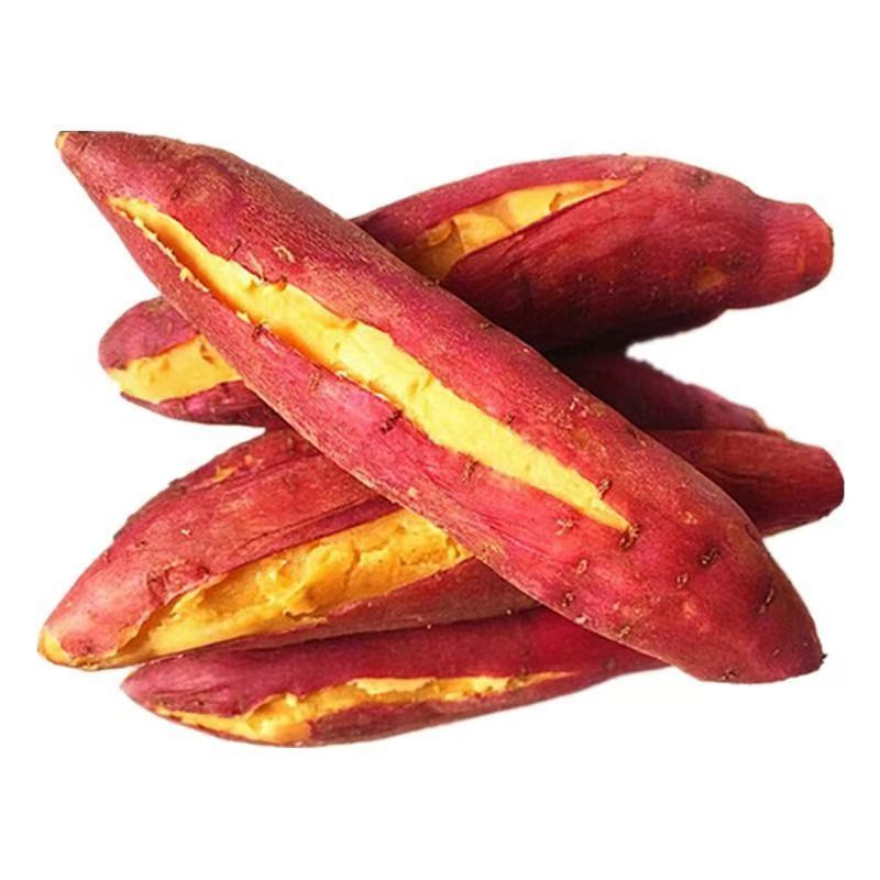 板栗红薯/河北板栗薯/大量上市/老板热情/产地直发