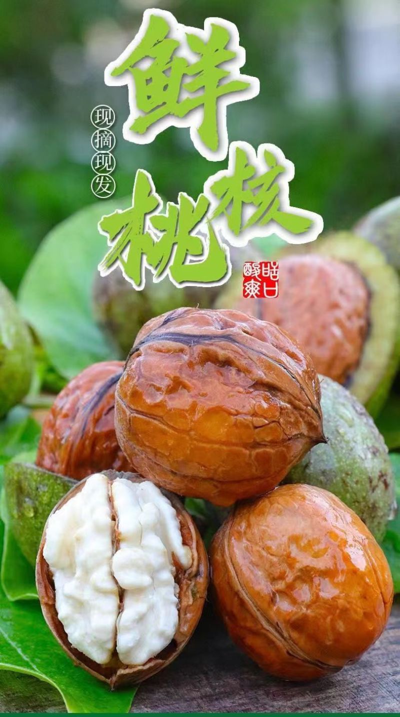 去青皮核桃陕西核桃一件代发自产自销对接电商社区团购
