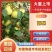 自家种的砀山酥梨，皮薄汁多，脆甜可口品质保证现场采摘