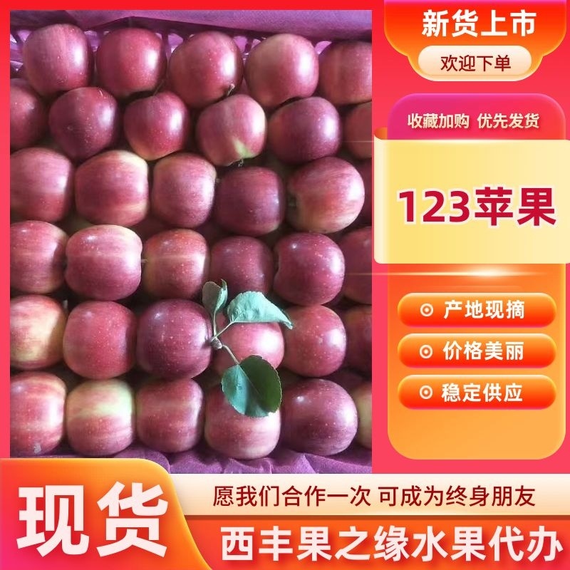 小红苹果东北辽宁苹果123苹果产地直发一手货源