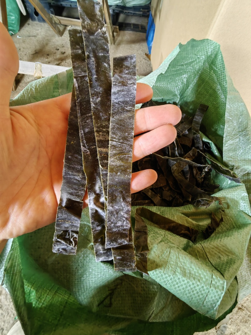 麻辣烫条/山东直发/海带丝/量大价优/老板热情/