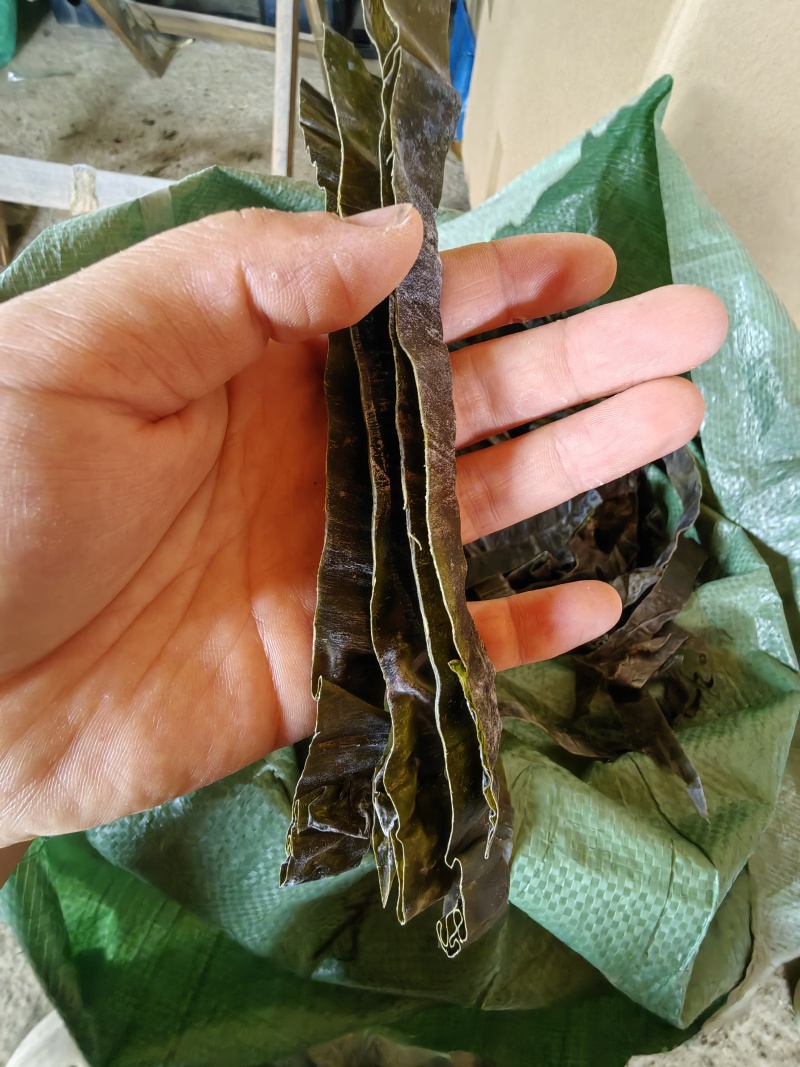 麻辣烫条/山东直发/海带丝/量大价优/老板热情/